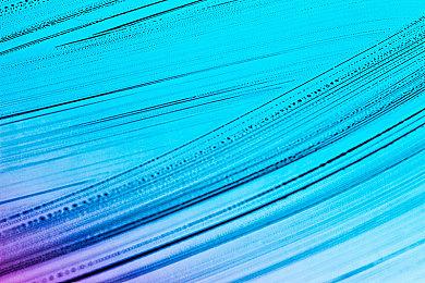 《红霞岛》支持DLSS3 买RTX 4090免费送豪华版