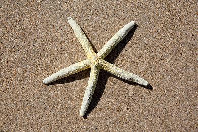 《罗布乐思》开发商融资 2500 万美元 目标直指元宇宙